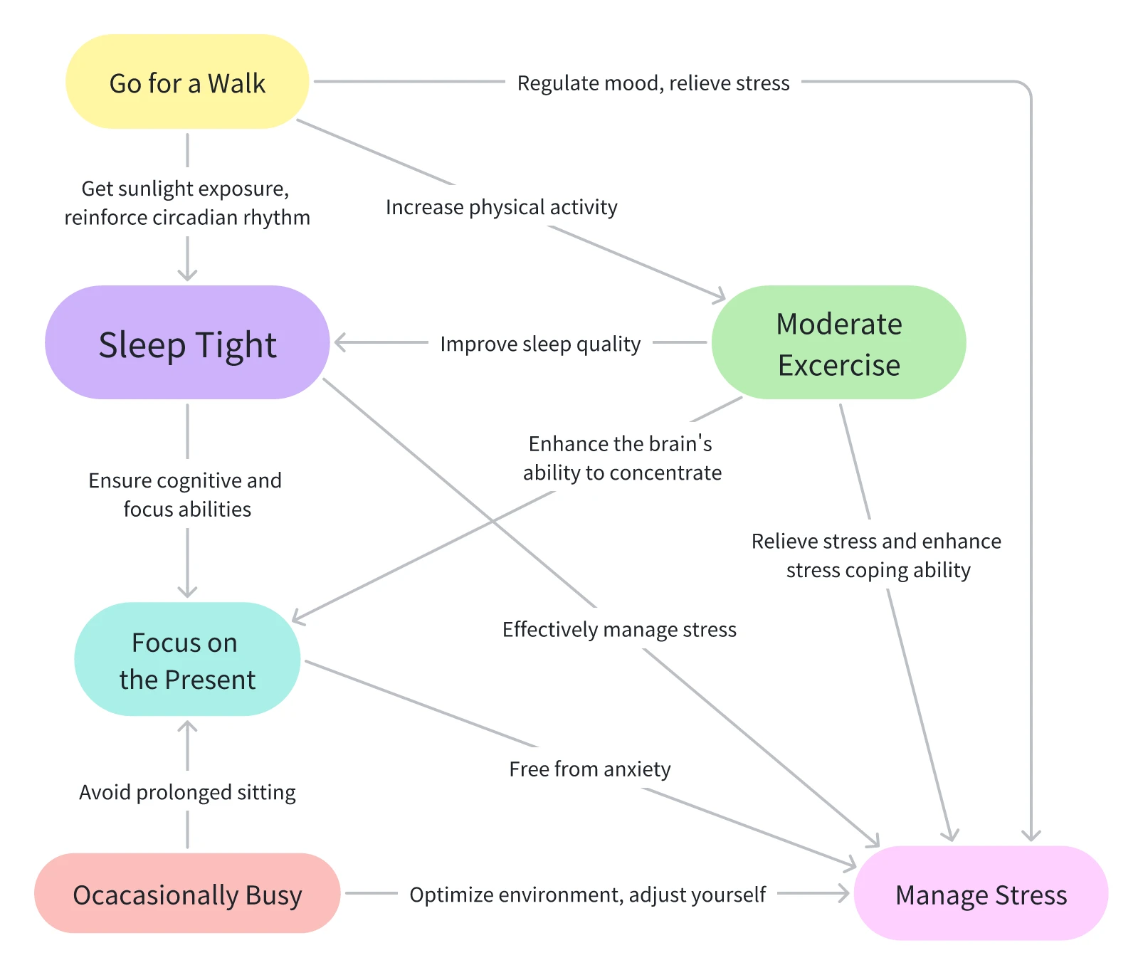 Daily Habit System